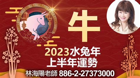 2023水兔寶寶|【2023 兔寶寶】兔寶寶好運來！2023適合生兔寶寶的父母生肖，。